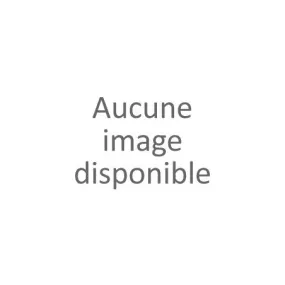 Veste Bombers grande taille femme